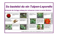 1-Anleitung-Tulpen-Leporello.pdf